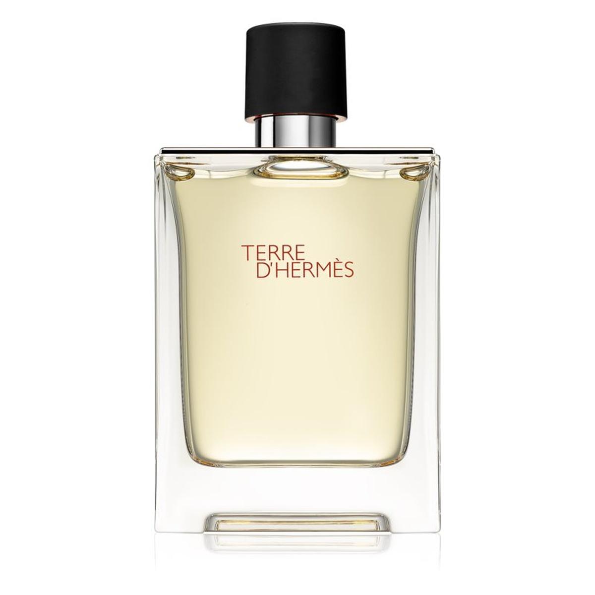 Terre D'Hermes Uomo Edt Spray
