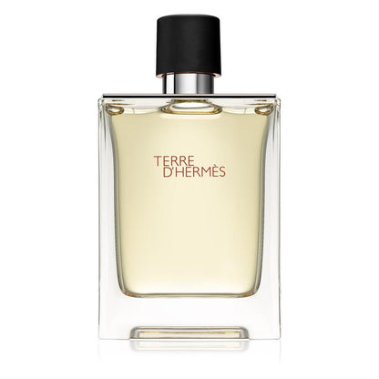 Terre D'Hermes Uomo Edt Spray