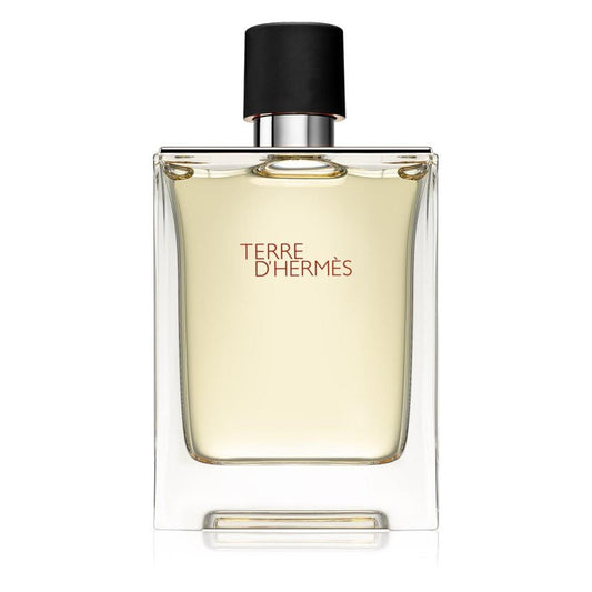 Terre D'Hermes Uomo Edt Spray