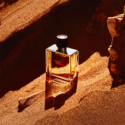 Terre D'Hermes Uomo Edt Spray